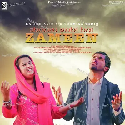 Jhoom Rahi Hai Zameen - Tehmina Tariq album cover 