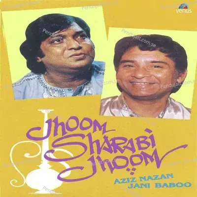 Koyee Sunega To Kya Kahega - Jani Baboo album cover 