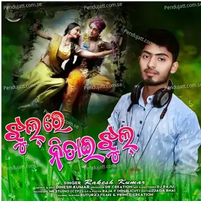 Jhul Re Nitaee Jhul - Rakesh Kumar album cover 