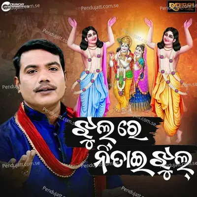 Jhul Re Nitai Jhul - Sricharan Mohanty album cover 