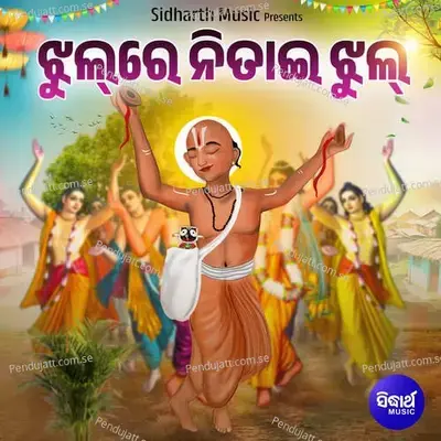 Jhul Re Nitai Jhul 15 - Sushil Kumar Sahoo album cover 