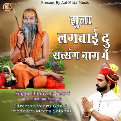 Jhula Lagwai Du Satsang Baag Me - Bhanwar Seervi album cover 