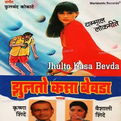 Majhya Baghun Vaye Soda - Vaishali Shinde album cover 