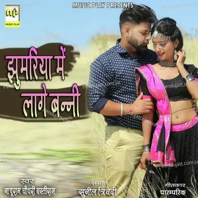 Jhumariya Main Lage Banni - Nathuram Choudhary album cover 