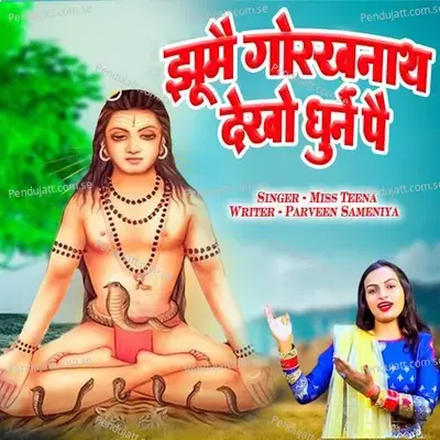 Jhume Gorakhnath Dekho Dhune Pe - Miss Teena album cover 