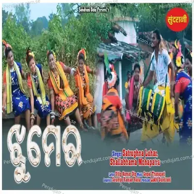 Jhumer - Satrughna Luhar album cover 