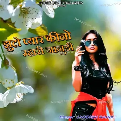 Jhutho Pyar Kino Mhari Janudi - Jagdish Rawat album cover 