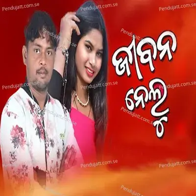 Jiban Nelu - Sajan Meher album cover 