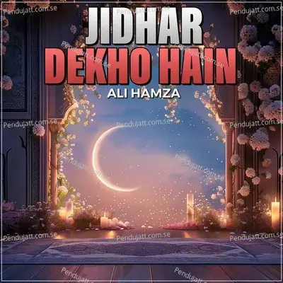 Jidhar Dekho Hain - Ali Hamza album cover 