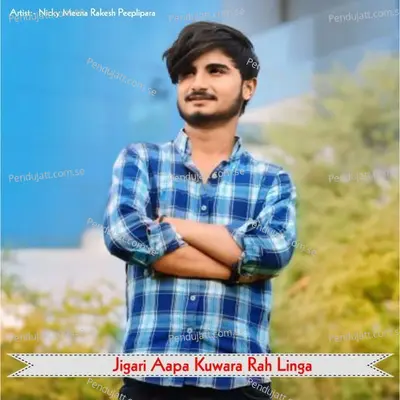 Jigari Aapa Kuwara Rah Linga - Nicky Meena Rakesh Peeplipara album cover 