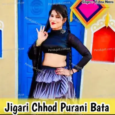 Jigari Chhod Purani Bata - Vishnu Meena album cover 