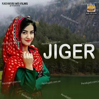 Jiger - Various Artists cover album