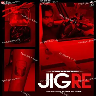 Jigre - Rp Singh album cover 