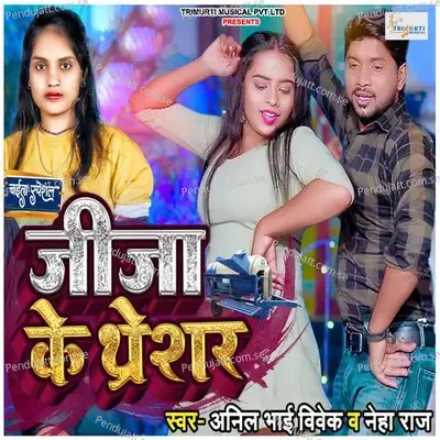 Jija Ji Ke Thresar - Anil Bhai Vivek album cover 