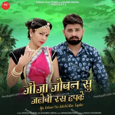 Jija Joban Su Jalebi Ras Tapke - Vaishali Rajkor album cover 