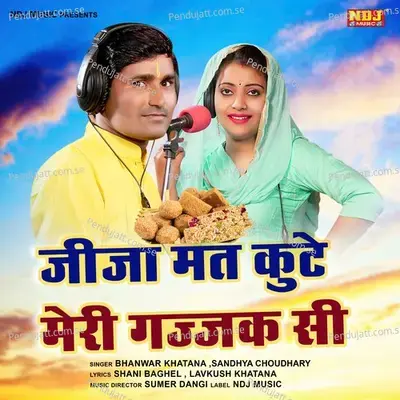 Jija Mat Kute Meri Gajaak Si - Bhanwar Khatana album cover 