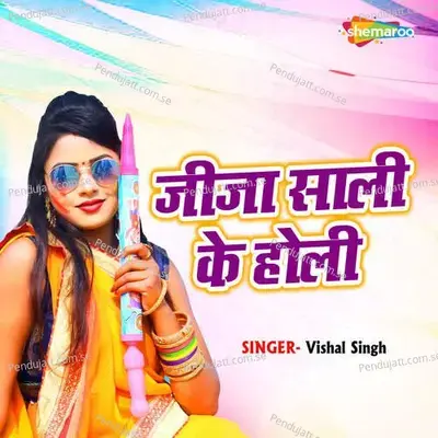 Jija Sali Ke Holi - Vishal Singh album cover 