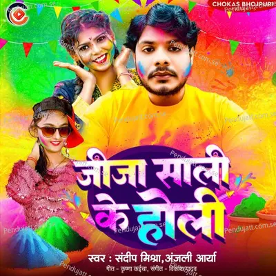 Jija Sali Ke Holi - Sandeep Mishra album cover 