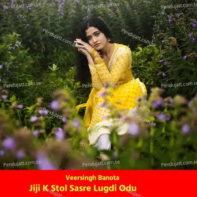 Jiji K Stol Sasre Lugdi Odu - Veersingh Banota album cover 
