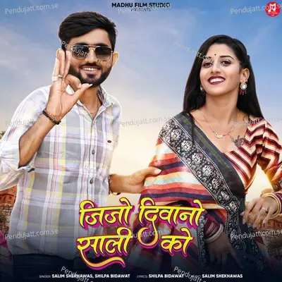 Jijo Deewano Sali Ko - Salim Shekhawas album cover 