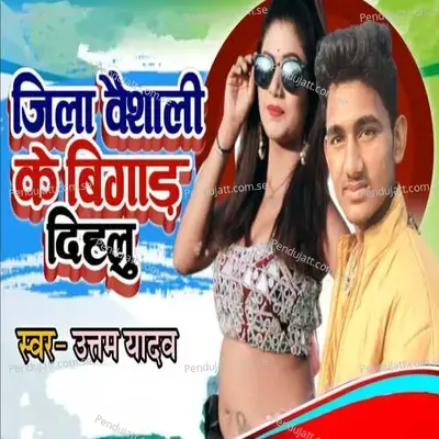 Jila Vaishali Ke Bigar Dihlu - Nilesh Lal Yadav album cover 