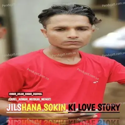 Jilshana Sokin Ki Love Story - Aslam Singer Deadwal album cover 