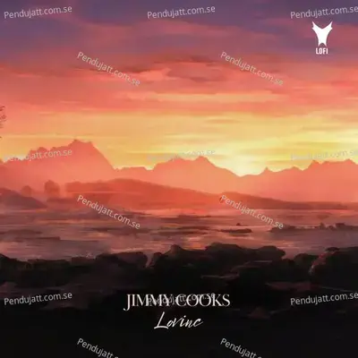 Jimmy Cooks - LoVinc album cover 