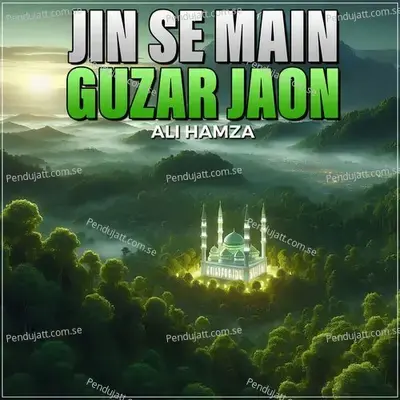 Jin Se Main Guzar Jaon - Ali Hamza album cover 