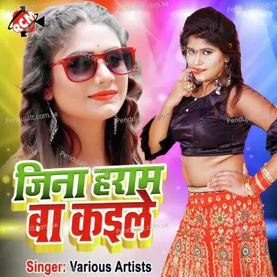 Basal Badu Braind Me - Nagendra Lal Yadav album cover 