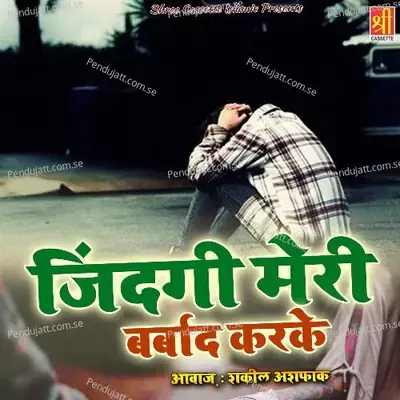Jindagi Meri Barbad Karke - Shakeel Ashfaq album cover 