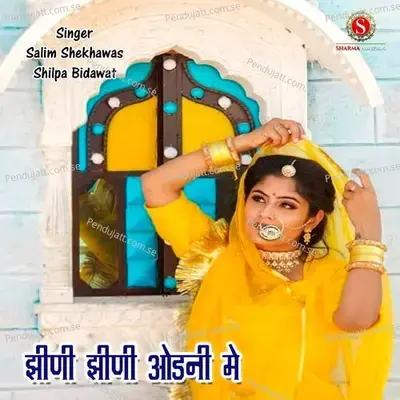 Jini Jini Odhani Me Nain - Salim Shekhawas album cover 