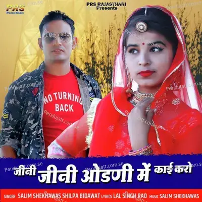 Jini Jini Odhani Mein Kai Karo - Salim Shekhawas album cover 