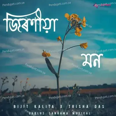 Jironiya Mon - Bijit Kalita album cover 