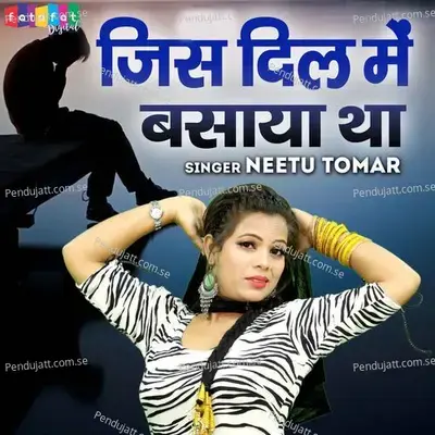 Jis Dil Mein Basaya Tha - Neetu Tomar album cover 