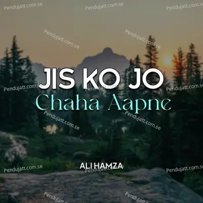 Jis Ko Jo Chaha Aapne - Ali Hamza album cover 
