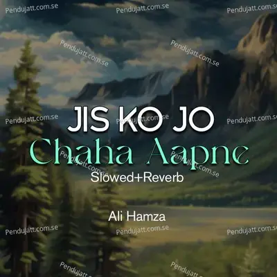 Jis Ko Jo Chaha Aapne Lofi - Ali Hamza