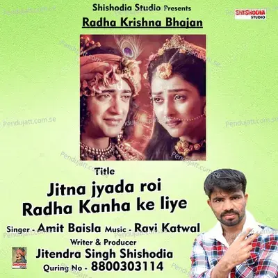 Jitna Jyada Roi Radha Kanha Ke Liye - Amit Baisla album cover 