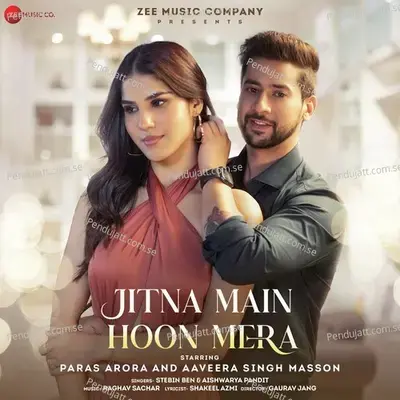 Jitna Main Hoon Mera - Stebin Ben album cover 