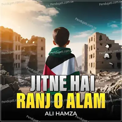Jitne Hai Ranj O Alam - Ali Hamza