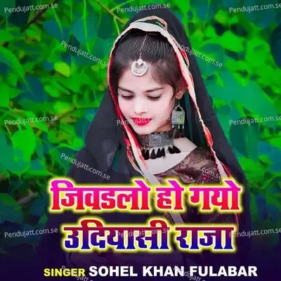 Jivdalo Ho Gayo Udasi Raja - Sohel Khan Fulabar album cover 