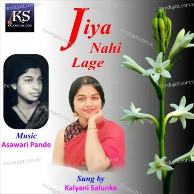 Manat Nahi - Kalyani Salunke album cover 