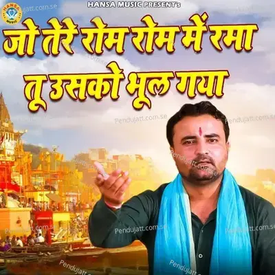 Jo Tere Rom Rom Mai Rama Tu Usko Bhool Gaya - Rahul Baliyan album cover 