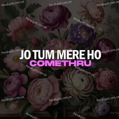 Jo Tum Mere Ho   Comethru - Pranish VP album cover 