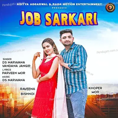 Job Sarkari - D.S. Narwana album cover 