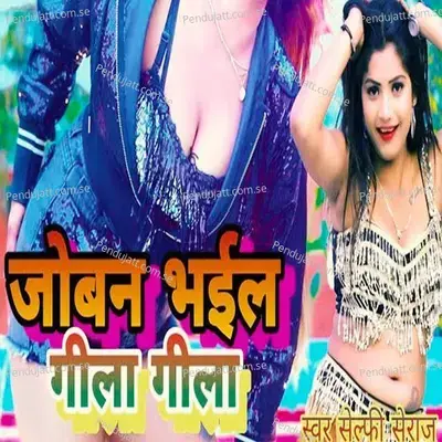 Joban Bhail Geela Geela - Selfi Seraj album cover 