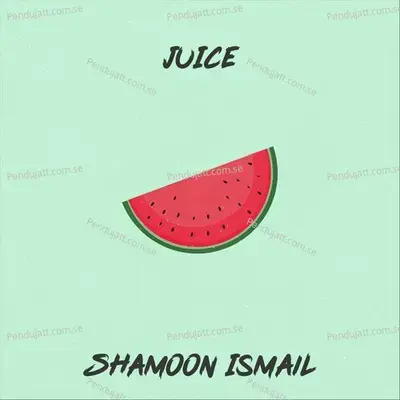 Rung - Shamoon Ismail album cover 