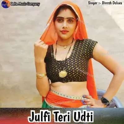 Julfi Teri Udti - Dinesh Dekwa album cover 