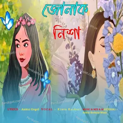 Junak Nixa - Rintu Kachari album cover 