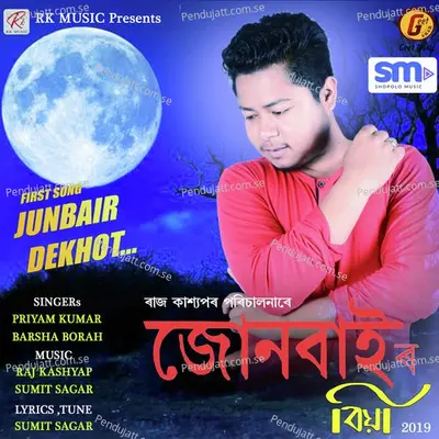 Junbai - Priyam Kumar album cover 