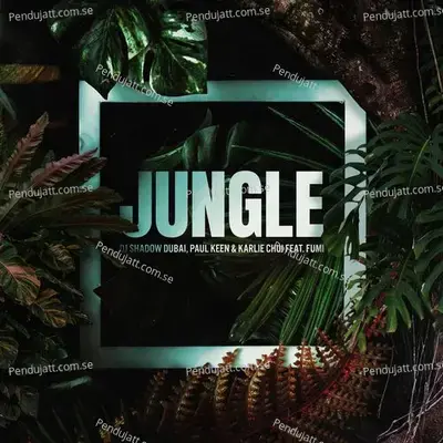 Jungle - DJ Shadow Dubai album cover 